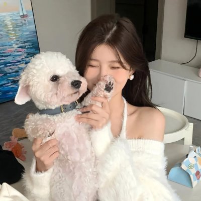 如果历史是一群喵第一季